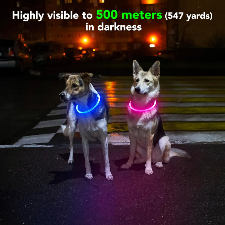 Light up Dog Collar - Waterproof LED Dog Collar Rechargeble, TPU Cuttable Glow in the Dark Safety Dog Lights for Night Walking(Blue)